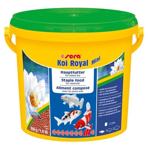 KOI ROYAL MINI (3,8 Liter)