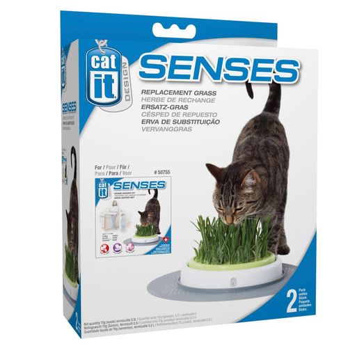 2er Ersatzgras - Katzengras für Senses Grass Garden